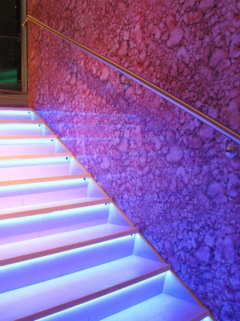 LED striplights The Lighting Warehouse