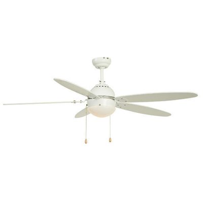 12566.jpg 12566.jpg