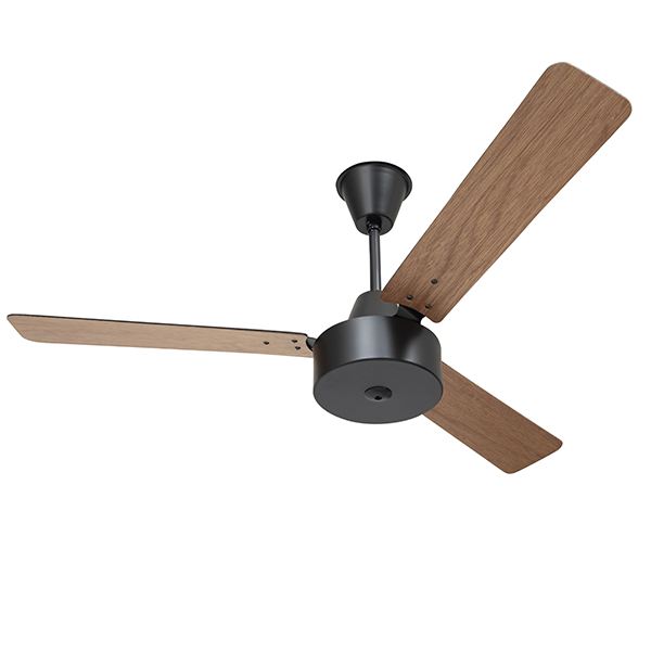 best place to buy ceiling fans near me