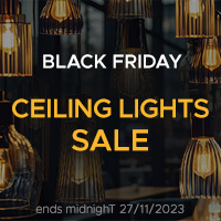 BlackFriday-Web-1c