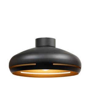 Mauro 1 Light Black Ceiling Light