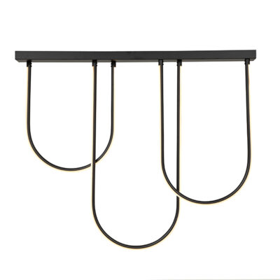 Miami Led 2 Light Black Ceiling Light
