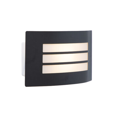 Sanele Black Outdoor Wall Light
