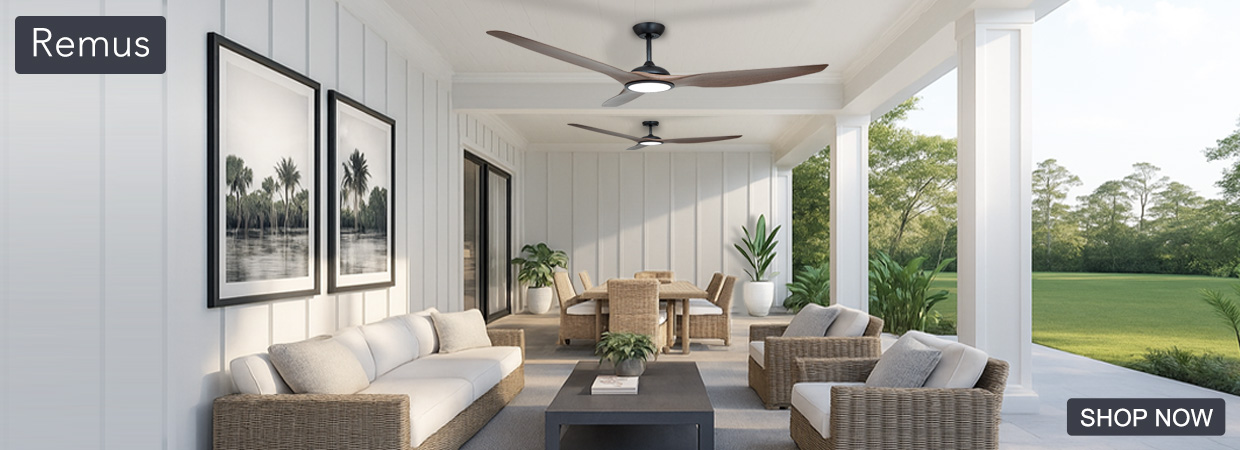 Website-2025-10-27-Remus_01