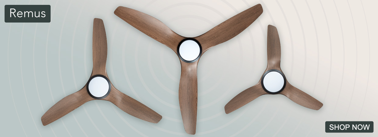 Website-2025-10-27-Remus_03