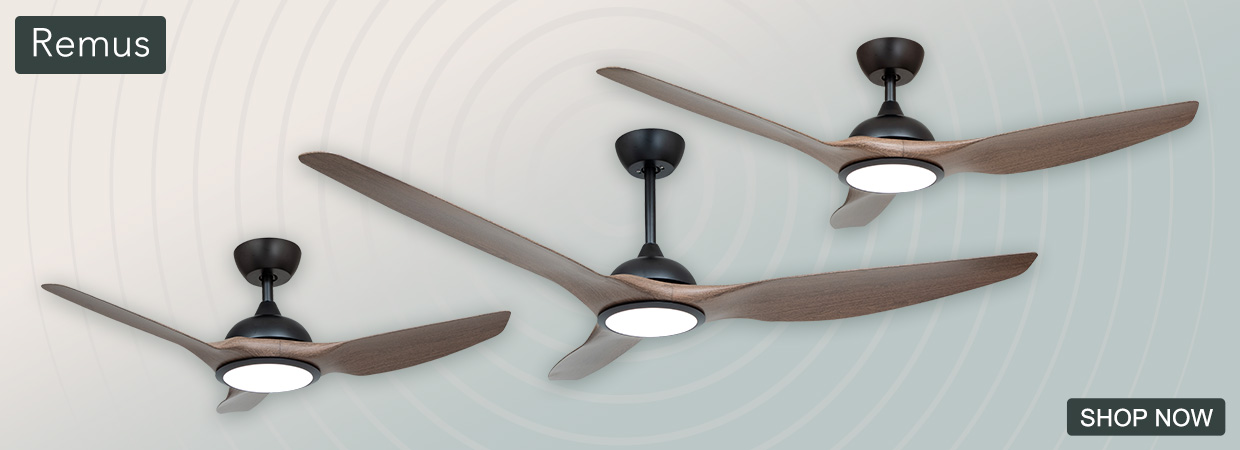 Website-2025-10-27-Remus_2