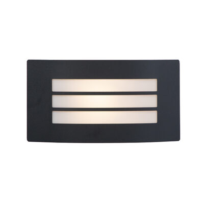 Sanele Black Outdoor Wall Light