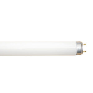 Fluorescent Tube T8 18w Cool White