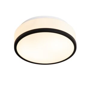 Hydro 2 Light Black Bathroom Ceiling Light