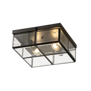 Cube 2 Light Black Ceiling Light