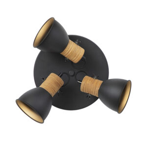 Dublin 3 Light Black Spotlight