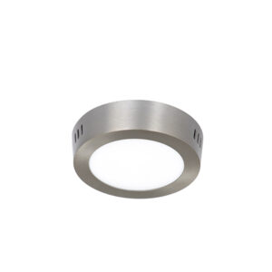 Round 3w Led 6500k Silver Surface Ceiling Panel