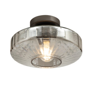 Raylin 1 Light Smokey Ceiling Light