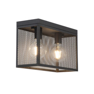 Vikander 2 Light Black Ceiling Light