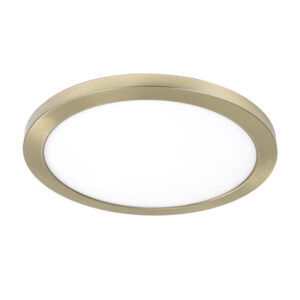 Round 24w 6000k Antique Brass Surface Ceiling Panel