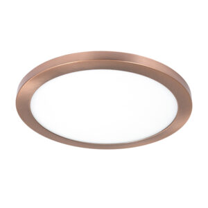 Round 24w Led 6000k Rose Gold Surface Ceiling Panel