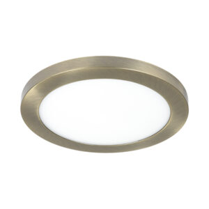 Round 18w Led 6000k Antique Brass Surface Ceiling Panel