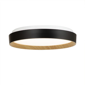 Andron Led Black Ceiling Light With Rf Remote