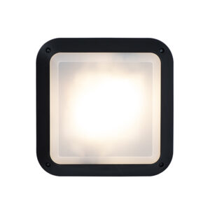 Skystead Black Outdoor Wall Bulkhead Light