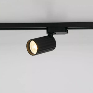 Europa Black Track Spot Light