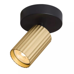 Europa Gold Spot Light