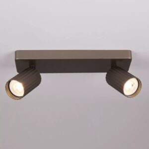 Europa 2 Light Bronze Spot Light