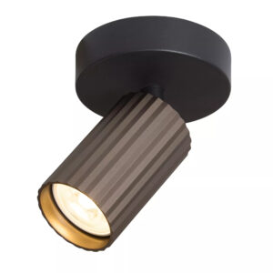 Europa Bronze Spot Light
