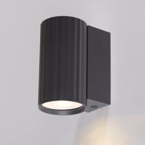 Europa Black Wall Light