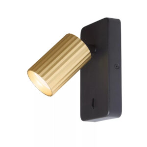 Europa Reader Gold Spot Light