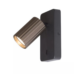 Europa Reader Bronze Spot Light