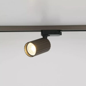 Europa Bronze Track Spot Light