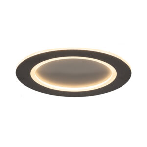 Thasus Led Black Ceiling Light